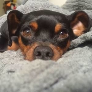 Meet your Posher, Micki